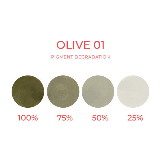 Artyst Olive 01 (10ml)