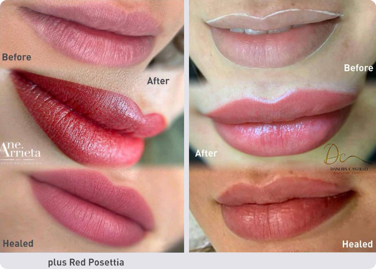 Amiea Evolutionline Classic Poppy before, after and healed lip blush results (shown combined with Red Posettia)